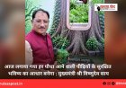 आज लगाया गया हर पौधा आने वाली पीढ़ियों के सुरक्षित भविष्य का आधार बनेगा : मुख्यमंत्री श्री विष्णुदेव साय